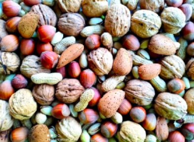 FRUTOS SECOS PARA LOROS
