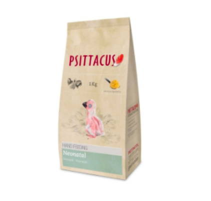 Papilla PSITTACUS NEONATAL 1KG
