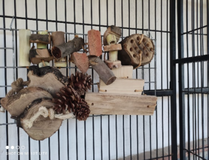 PANEL MULTI JUGUETES PARA LOROS ARTESANAL
